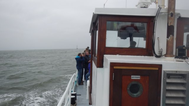 HWK Texel 2015 066.jpg